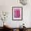 Pink Rose 3-Stacy Bass-Framed Giclee Print displayed on a wall