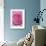 Pink Rose 3-Stacy Bass-Framed Giclee Print displayed on a wall