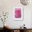 Pink Rose 3-Stacy Bass-Framed Giclee Print displayed on a wall