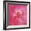 Pink Rose Abstract No 206-Shams Rasheed-Framed Giclee Print