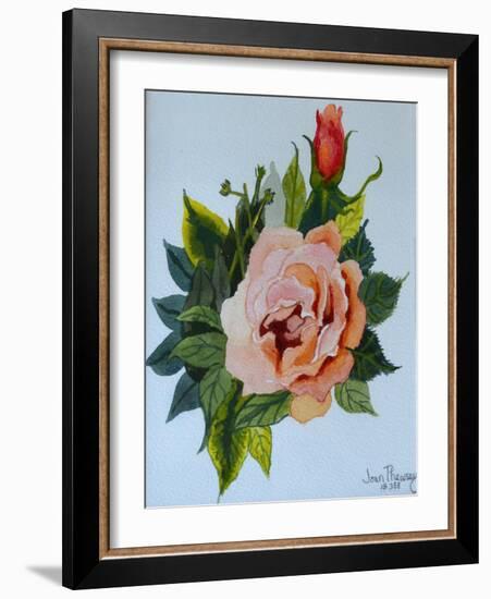 Pink Rose and Bud, 1986-Joan Thewsey-Framed Giclee Print