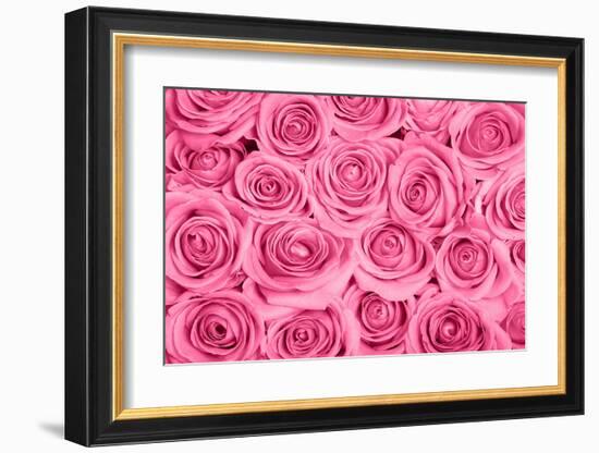 Pink Rose Bouqet-null-Framed Art Print