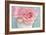 Pink Rose Bouquet-Cora Niele-Framed Photographic Print