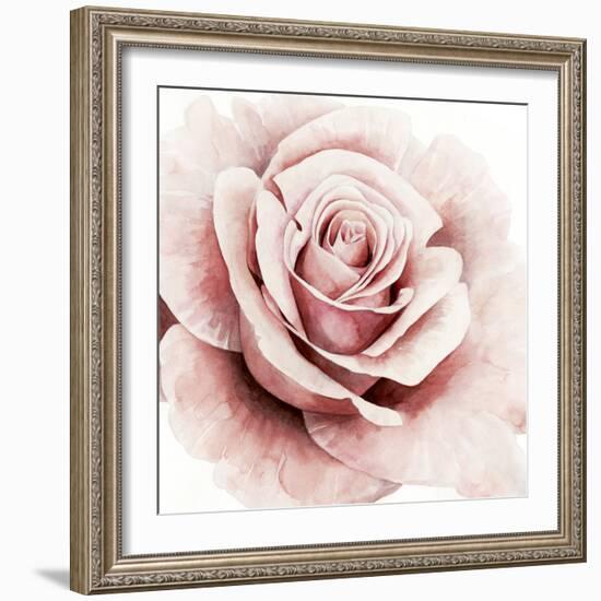 Pink Rose I-Grace Popp-Framed Art Print