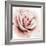 Pink Rose I-Grace Popp-Framed Art Print