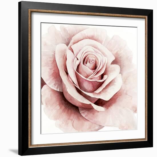 Pink Rose I-Grace Popp-Framed Art Print