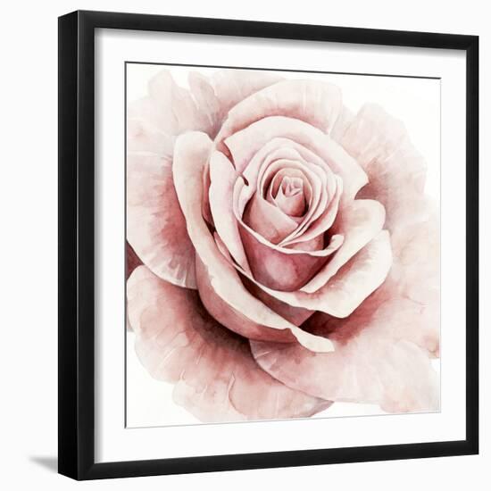 Pink Rose I-Grace Popp-Framed Art Print