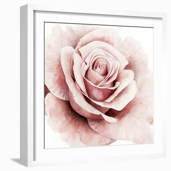 Pink Rose I-Grace Popp-Framed Art Print