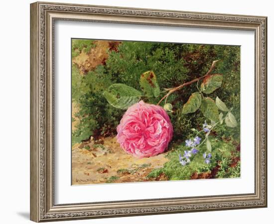 Pink Rose on a Mossy Bank, 1875-Henry Sutton Palmer-Framed Giclee Print