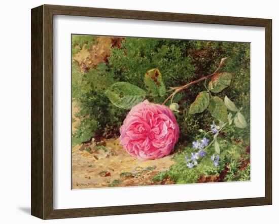 Pink Rose on a Mossy Bank, 1875-Henry Sutton Palmer-Framed Giclee Print