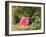 Pink Rose on a Mossy Bank, 1875-Henry Sutton Palmer-Framed Giclee Print