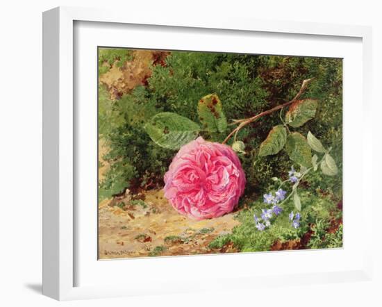 Pink Rose on a Mossy Bank, 1875-Henry Sutton Palmer-Framed Giclee Print