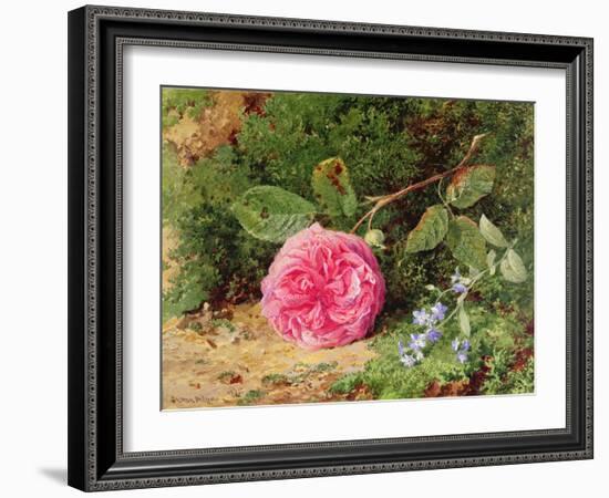 Pink Rose on a Mossy Bank, 1875-Henry Sutton Palmer-Framed Giclee Print