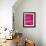 Pink Rose, Portland Rose Garden, Oregon, USA-Brent Bergherm-Framed Photographic Print displayed on a wall