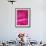 Pink Rose, Portland Rose Garden, Oregon, USA-Brent Bergherm-Framed Photographic Print displayed on a wall