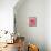 Pink rose-Herbert Kehrer-Framed Premier Image Canvas displayed on a wall