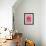 Pink rose-Herbert Kehrer-Framed Photographic Print displayed on a wall