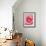 Pink rose-Herbert Kehrer-Framed Photographic Print displayed on a wall