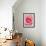 Pink rose-Herbert Kehrer-Framed Photographic Print displayed on a wall