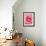 Pink rose-Herbert Kehrer-Framed Photographic Print displayed on a wall