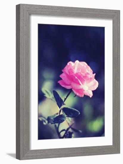 Pink Rose-Carolina Hernández-Framed Photographic Print