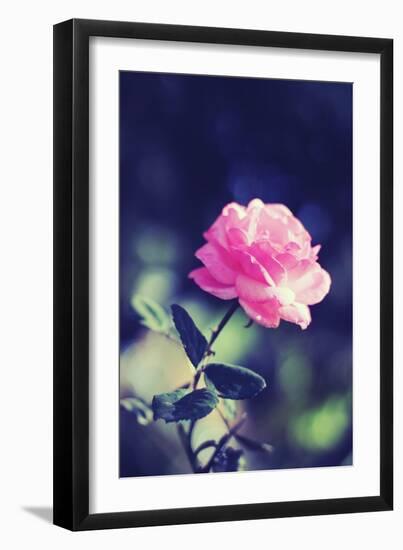 Pink Rose-Carolina Hernández-Framed Photographic Print