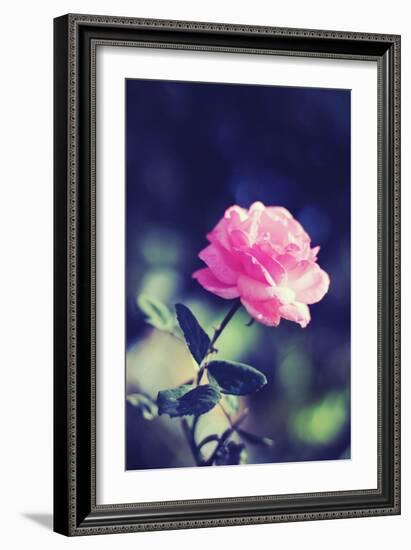 Pink Rose-Carolina Hernández-Framed Photographic Print