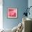 Pink Rose-null-Framed Photographic Print displayed on a wall