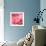 Pink Rose-null-Framed Photographic Print displayed on a wall