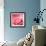 Pink Rose-null-Framed Photographic Print displayed on a wall