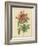 Pink Rose-Pierre-Joseph Redouté-Framed Photographic Print