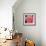 Pink Rose-Hyunah Kim-Framed Art Print displayed on a wall