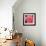 Pink Rose-Hyunah Kim-Framed Art Print displayed on a wall