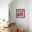 Pink Rose-Hyunah Kim-Framed Art Print displayed on a wall