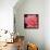 Pink Rose-Hyunah Kim-Framed Stretched Canvas displayed on a wall
