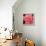 Pink Rose-Hyunah Kim-Framed Stretched Canvas displayed on a wall