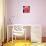 Pink Rose-Hyunah Kim-Premium Giclee Print displayed on a wall