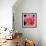 Pink Rose-Hyunah Kim-Framed Premium Giclee Print displayed on a wall