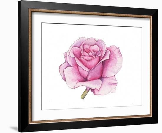 Pink Rose-Elizabeth Rider-Framed Giclee Print