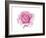 Pink Rose-Elizabeth Rider-Framed Giclee Print