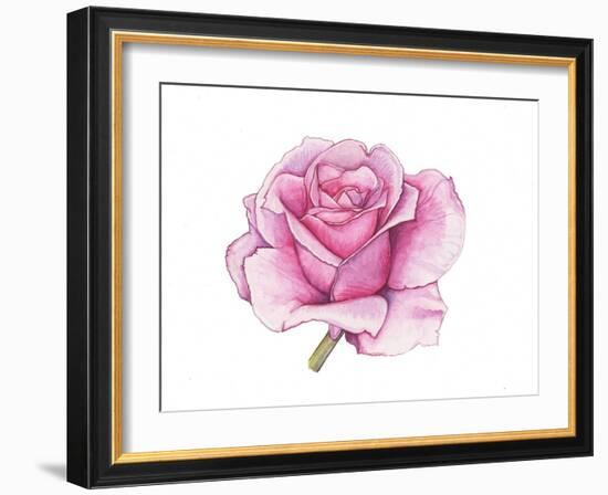 Pink Rose-Elizabeth Rider-Framed Giclee Print
