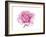 Pink Rose-Elizabeth Rider-Framed Giclee Print