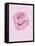 Pink Rose-Drawpaint Illustration-Framed Premier Image Canvas