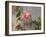 Pink rose-Michael Scheufler-Framed Photographic Print