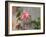 Pink rose-Michael Scheufler-Framed Photographic Print