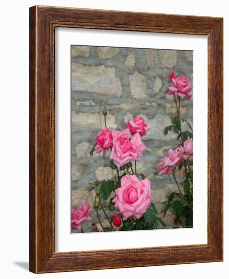 Pink Roses Against Stone Wall, Burgundy, France-Lisa S^ Engelbrecht-Framed Photographic Print