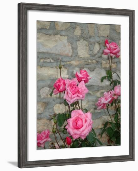 Pink Roses Against Stone Wall, Burgundy, France-Lisa S^ Engelbrecht-Framed Photographic Print