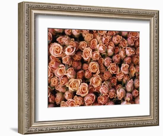 Pink Roses at Albert Kuyp Market-Owen Franken-Framed Photographic Print