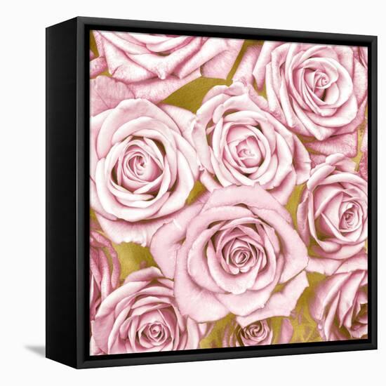Pink Roses on Gold-Kate Bennett-Framed Stretched Canvas