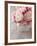 Pink Roses on Wooden Desk-egal-Framed Photographic Print